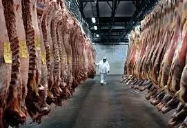 Por Retenciones y caída de las exportaciones ya cerraron 150, frigoríficos en el país