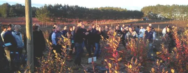 7ma. Jornada Técnica Regional en Arándanos. 25 y 26 de junio en Concordia
