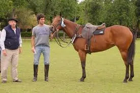 Primer Curso de Petiseros de Polo" en Realicó