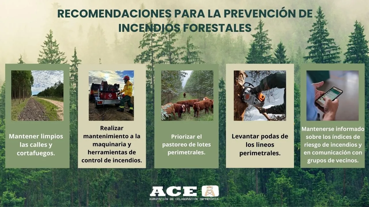 Prevencion de Incendios Forestales